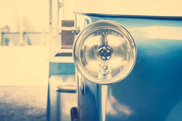 Rarity and Provenance: How Scarcity Influences Demand