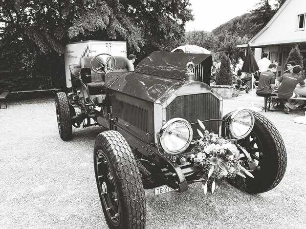 Iconic vintage race cars and their legacy