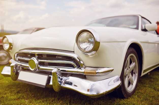 Identifying Rare Cars with High Investment Potential